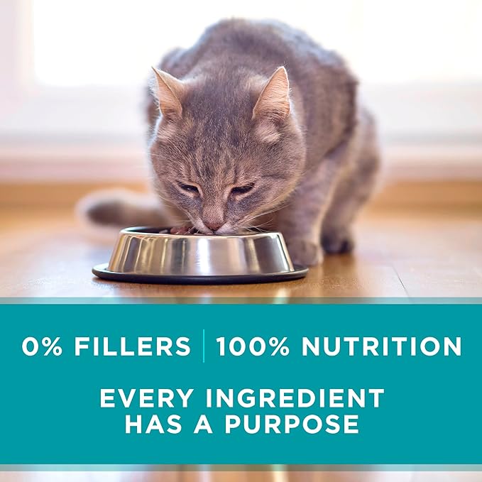Purina ONE Natural, Grain Free Wet Cat Food Pate, Chicken Recipe - (Pack of 24) 3 oz. Pull-Top Cans