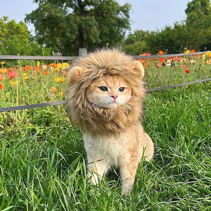 Lion Mane Wig for Cats - Adjustable, Washable, Brown Lion Mane Wig for Cat Costume (Medium)