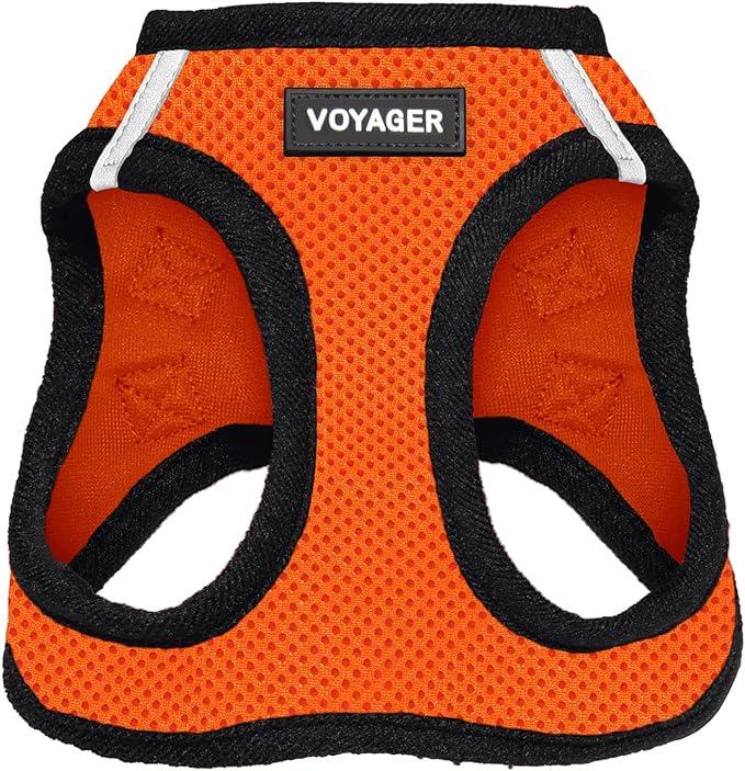 Best Pet Supplies Voyager Step-in Air Harness - All Weather Mesh, Reflective, No Pull Harness for Dogs, Cats - Secure with Hook & Loop Fastener, Buckle, Double D-Rings - Orange/Black Trim, XS