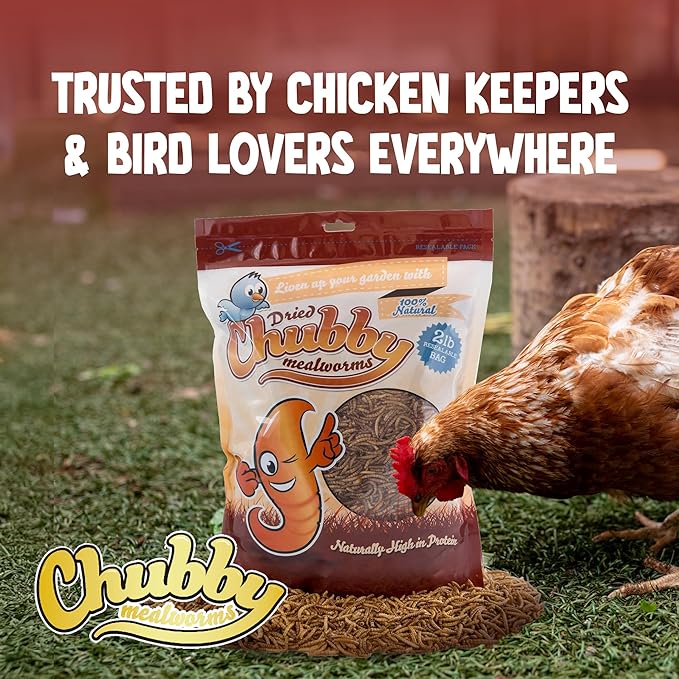 Chubby Dried Mealworms | 15 lbs | High-Protein Non-GMO Treats for Chickens, Ducks, Wild Birds & Backyard Pets | Resealable Bag with Handle