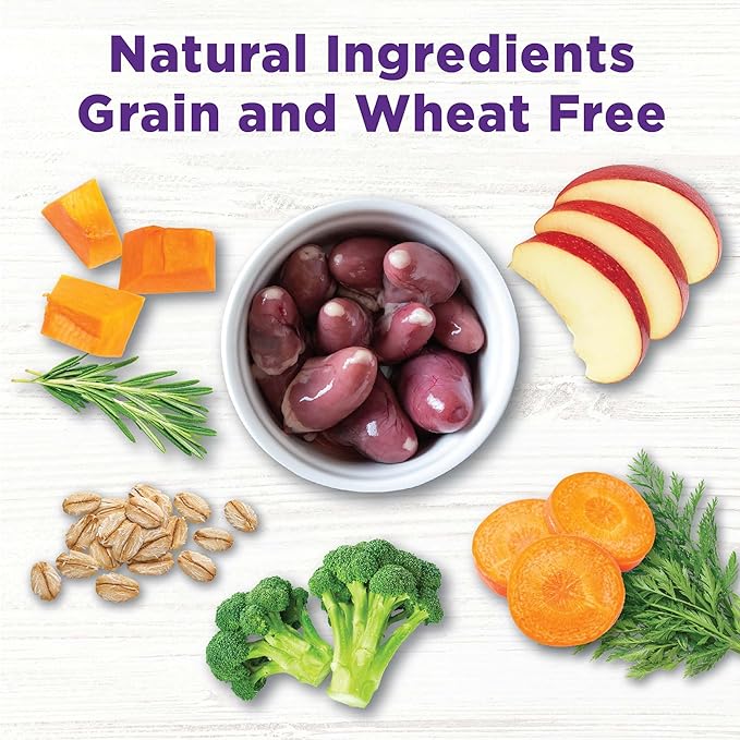 Wellness Bowl Boosters, Dog Food Topper for Small, Medium, & Large Breeds, Grain Free, Natural, Freeze Dried, Digestive Health Chicken, 4 Ounce Bag (Pack of 2)