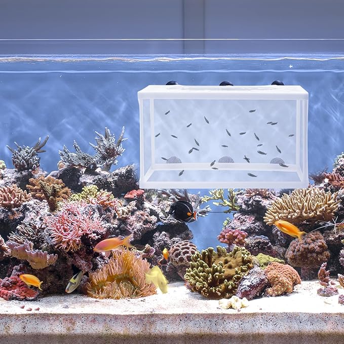 POPETPOP Small Fish Tank Fish Tank Net - Big Size Fish Hatchery Box Separation Net - Fry Hatchery Incubator Mesh with Suction Cup for Aquarium Hermit Crab Cage