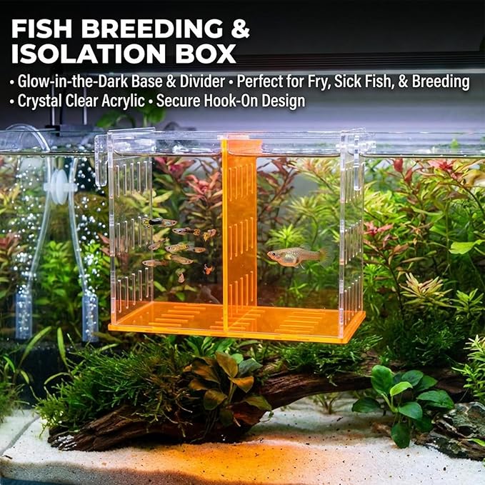 Large Acrylic Breeder Box for Aquarium & Fish Tank, Isolation Breeding Box with Extendable Handle Net - Acclimation Hatchery for Baby Fish, Shrimp, Betta, Guppy (9.45x5.71x8.27 in, Orange)