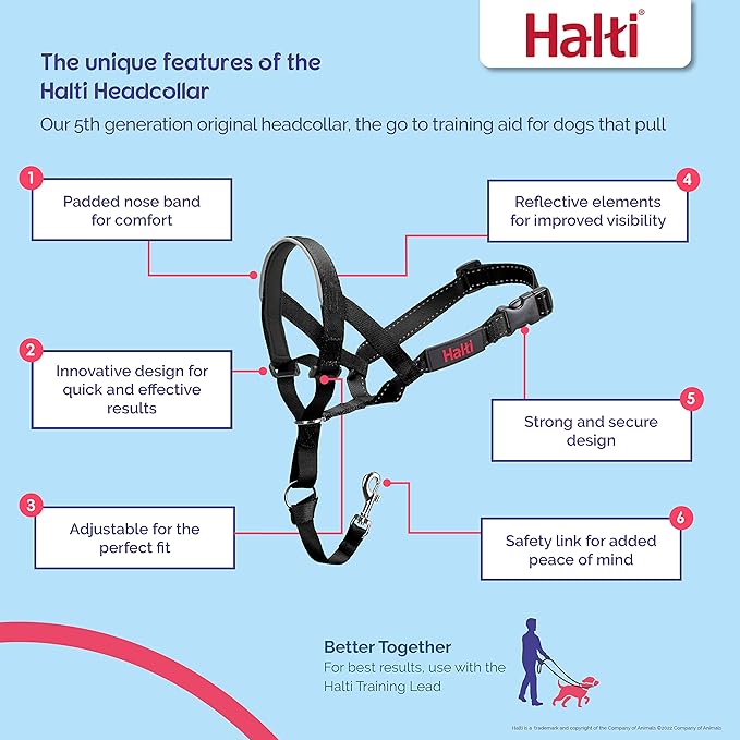Halti Headcollar - Stop Your Dog Pulling on The Leash. Adjustable, Reflective and Lightweight, with Padded Nose Band. Dog Training Anti-Pull Collar for Medium Dogs (Size 2, Deep Walnut)