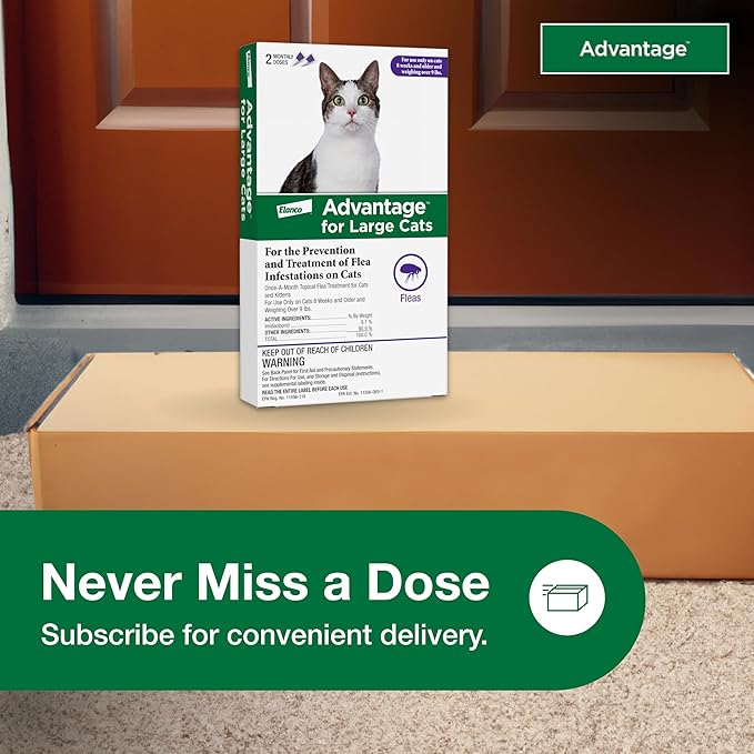 Advantage Topical Cat Flea Treatment and Prevention for Large Cats Over 9 lbs. | Apply Flea Drops Monthly | 2 Treatments (Pack of 2)