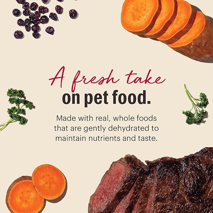 The Honest Kitchen Human Grade Wholemade™ Dehydrated Dog Food, Grain Free Beef 10 lb (makes 40lbs)