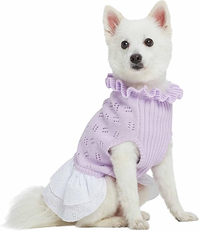 Blueberry Pet My Cutie Princess Ruffle Collar Dog Sweater Dress with Guipure Lace, Light Lavender, Back Length 16", Fall Winter Clothes for Girl Dogs