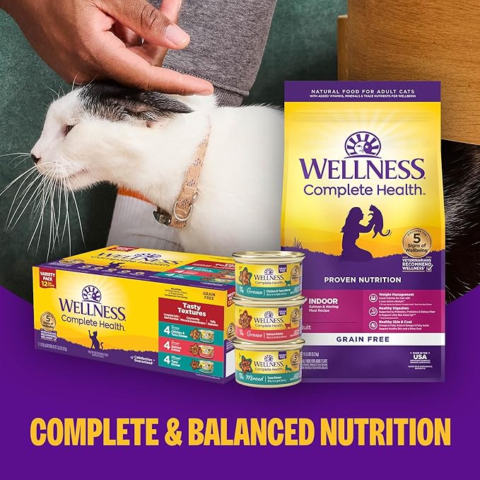Wellness Complete Health Gravy & Minced Adult Wet Cat Food, Natural, Protein-Rich, Grain-Free, 3 Ounce, 24 Pack, (Chicken & Turkey Lovers Variety Pack)