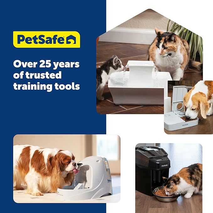 PetSafe Drinkwell Replacement Filter Pack for Outdoor Dog Water Fountain, 3 Carbon Filters & 1 Foam Filter