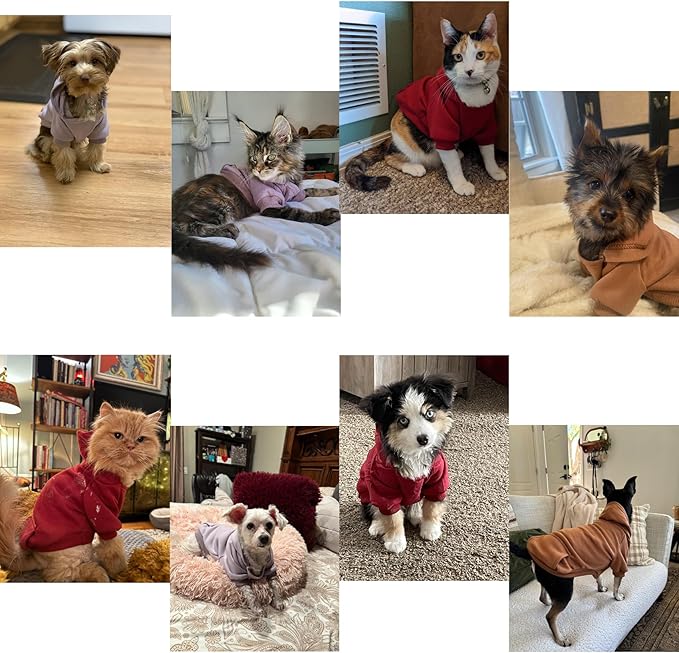 TAPBULL Dog Dresses, Fashionable Pet Dog Sweatshirt Clothes in Light Colors, Cute Cat Birthday Dress Outfit (Pink/Purple/Coffee 3-Pack), Medium