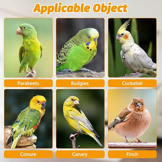BNOSDM Automatic Bird Water Dispenser 2 Pcs No Mess Parrot Cage Water Feeder Drinker Suspended Bird Drinking Device Parakeet Cage Accessories for Budgies, Cockatiel, Conure, Canary, Finch (Green)