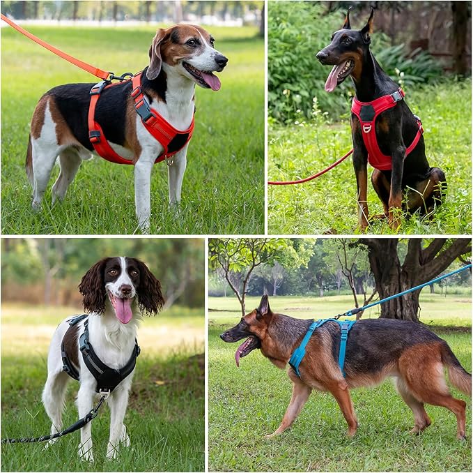 Plutus Pet No Pull Dog Harness, Release at Neck, Soft Padded, Reflective Adjustable Dog Vest Harness for Small, Medium, Large Dogs(Hot Pink, XL)