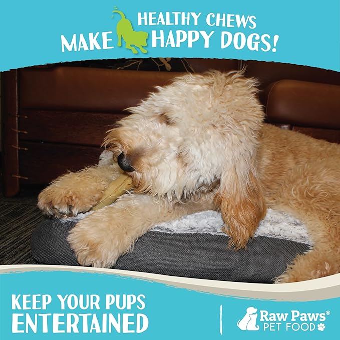 Raw Paws 5-inch Compressed Rawhide Rolls for Dogs (100-Pack) Bulk - Packed in USA - Natural Retriever Rolls - Rawhides for Dogs - Small Dog Chews Stick - Digestible Rawhide - Puppy Bones