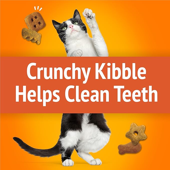 Friskies Purina Cat Treats,Party Mix Original Crunch - 20 oz. Pouch,(Pack of 2)