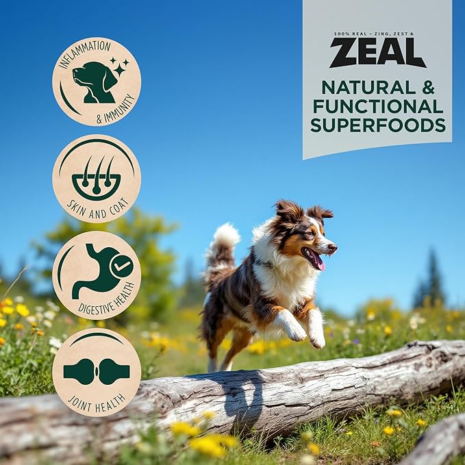 ZEAL Canada Air-Dried Salmon & Duck Recipe for Dogs - Superfood Omega-3 Rich, Dual-Protein, Grain Free, No Fillers, Complete Nutrition (Salmon & Duck, 1 lb)