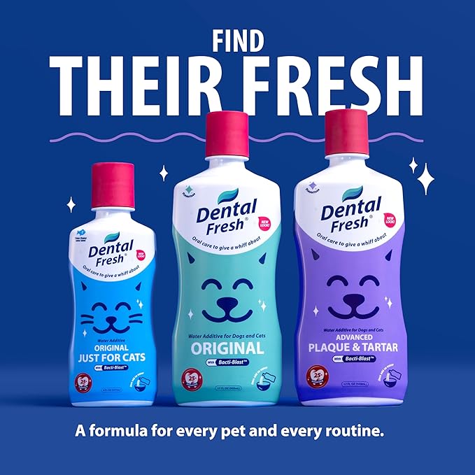Veterinary Formula Dental Fresh Water Additive for Dogs and Cats, Advanced Plaque and Tartar Control, 32 Fl Oz