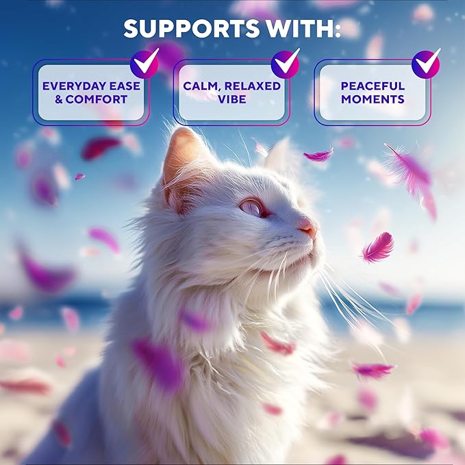 Beloved Pets Cat Calming Diffuser & Pet Anti Anxiety Products - Feline Calm Pheromones Plug in & Cats Stress Relief Comfort Helps with Pee, New Zone, Aggression (2 Pack (2 Diffusers + 2 Refills))