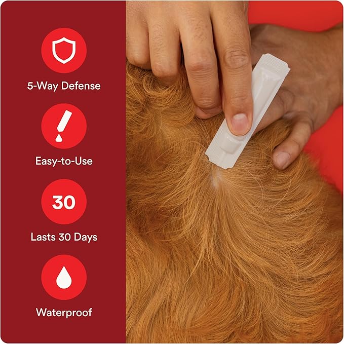 Advecta Ultra Flea and Tick Prevention for Dogs - Medium Dog Flea and Tick Treatment & Control - Mosquito Repellent - Fast Acting Waterproof Topical Drops, 2 Month Supply