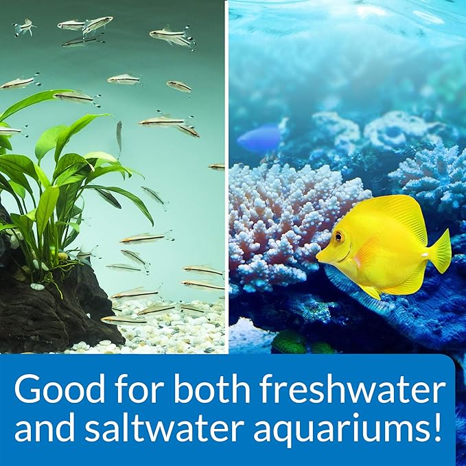 API STRESS ZYME Freshwater and Saltwater Aquarium Cleaning Solution 1-Ounce Bottle