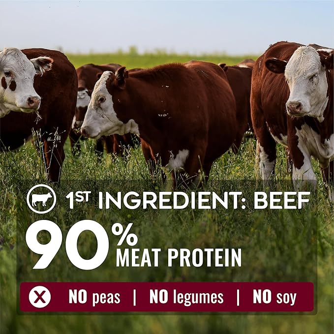 Nature’s Logic Pure Naturals™ 100% Natural Beef Recipe Synthetic-Free Dry Dog Food, 4.4 lbs