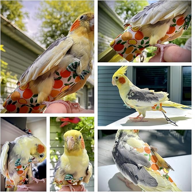2Pcs Bird Diapers Bird Harness Flight Suits Diapers with 2Pcs 80 Inch Flying Leash Parrot Nappy Pigeon Pants Urine Wet Suit for Cockatiel Conure Macaw Budgies Parakeet-Watermelon&Orange