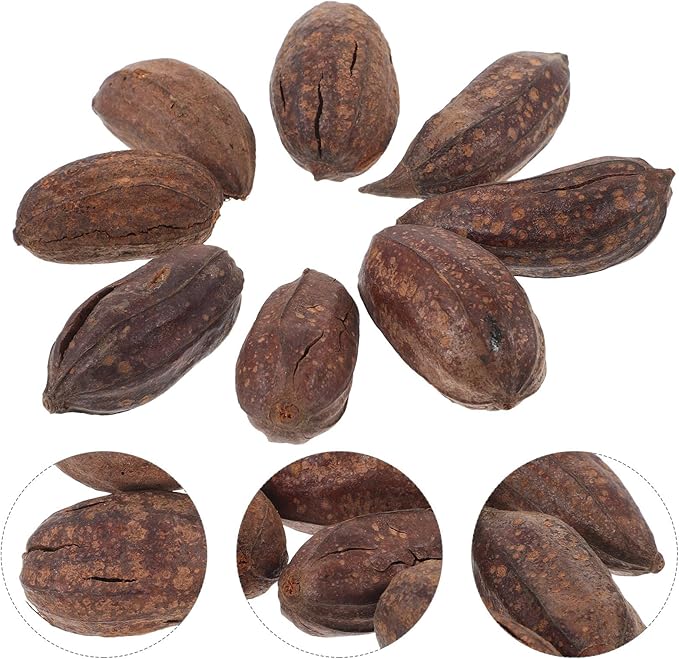 YARNOW 8pcs Natural Dried Fruit Bird Chew for Parakeets Cockatiels Parrot Biting to Mental Health and Prevent Boredom with Unique Shapes and Safe Materials