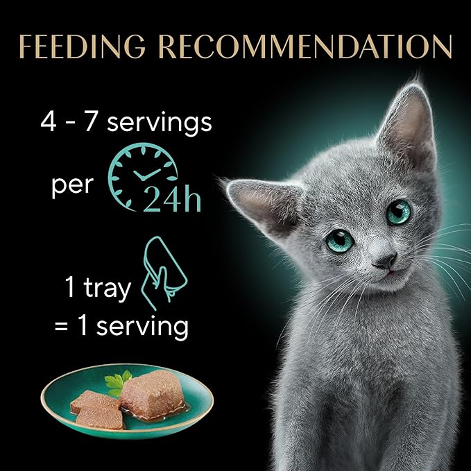 Sheba Perfect Portions Kitten Wet Food, Pate Cat Food Wet Entree, Chicken Recipe and Salmon Recipe, 2.6 oz. Twin-Pack Trays (12 Count, 24 Servings) (Pack of 2)
