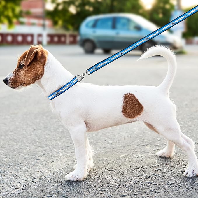 Pets First NFL Pet Leash, Detroit Lions, Medium