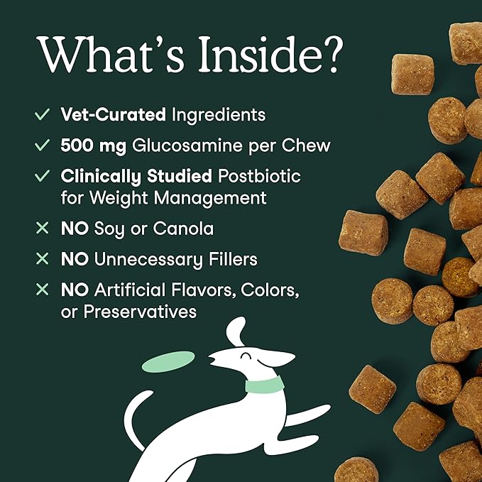 Fera Pets Hip & Joint Supplement for Dogs with Glucosamine, MSM, Chondroitin, & Green Lipped Mussel - Supports Healthy Joints and Weight Management - 10 Soft Chews