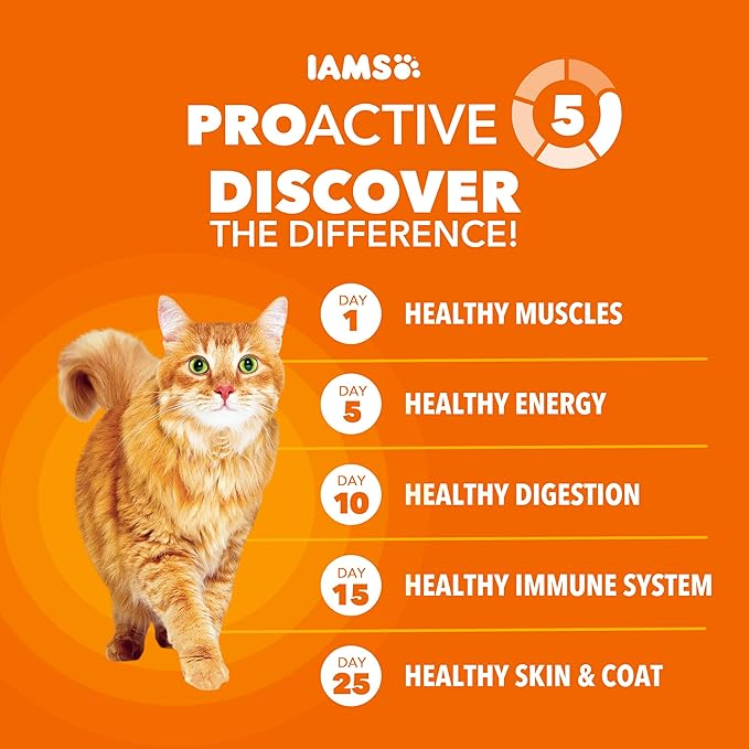 IAMS Proactive Health Dry Cat Food, Healthy Cat Food Dry Recipe for Adults, Salmon, 16 lb. Bag