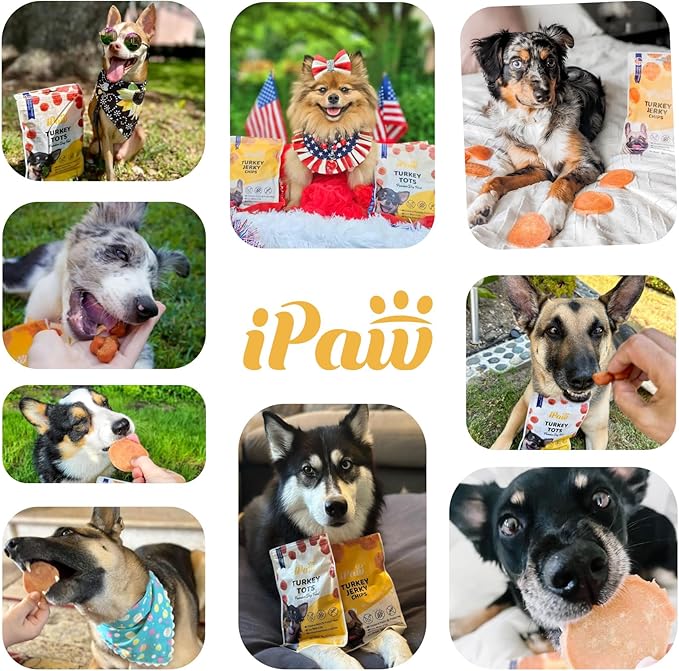 iPaw 2 Saver Combo Chicken Chips Dog Treats for Puppy Training, All Natural Human Grade Dog Treat, Hypoallergenic, Easy to Digest (Chicken Chips), 2 Packs