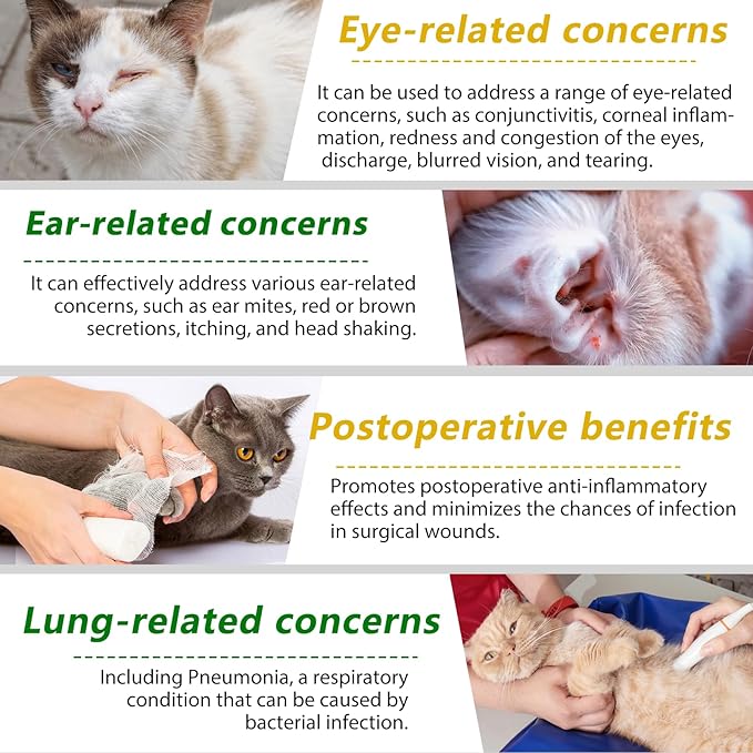 Cat Antibiotics, Antibiotics for Cats, Natural Cat Antibiotics Multivitamin Herbal Supplements 60ml