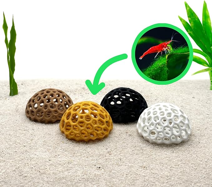 Shrimp Dome Hide - Aquarium Cherry Shrimp Hide - CTWPets Cherry Shimpe Hide (White)