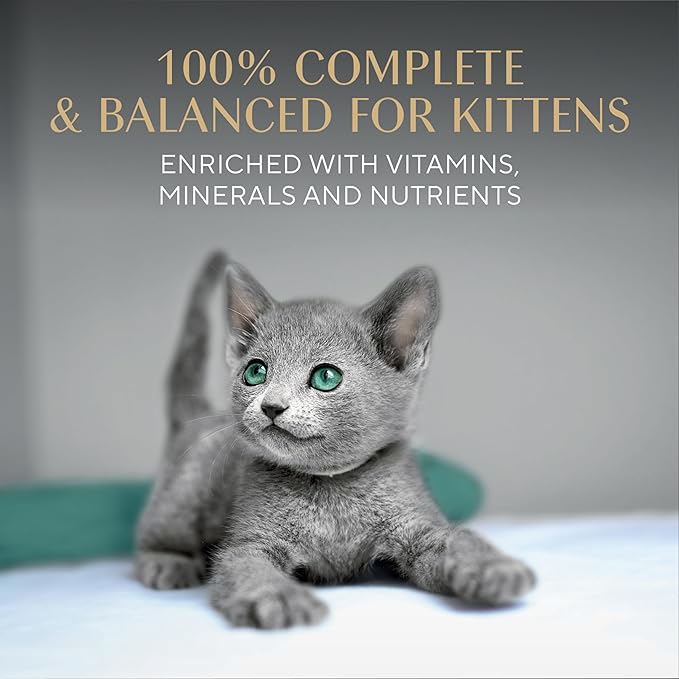 Sheba Perfect Portions Kitten Wet Food,Pate Cat Food Wet Entree,Salmon Recipe,2.6 oz. Twin-Pack Trays (,48 Servings),24 Count (Pack of 2)
