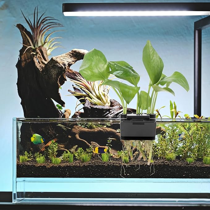 3 Holes Upgraded Aquatic Plant Cup Aquarium Plant Holder for Tank,Aquascape Accessories Decorations- Black 2 Pcs