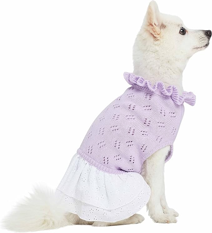 Blueberry Pet My Cutie Princess Ruffle Collar Dog Sweater Dress with Guipure Lace, Light Lavender, Back Length 16", Fall Winter Clothes for Girl Dogs