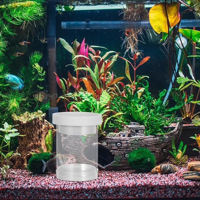 IMIKEYA Floating Aquarium Fish Breeding Box and Egg Incubator Isolation Chamber White Small Size Floating Hatchery for Guppy and Small Fish Fry