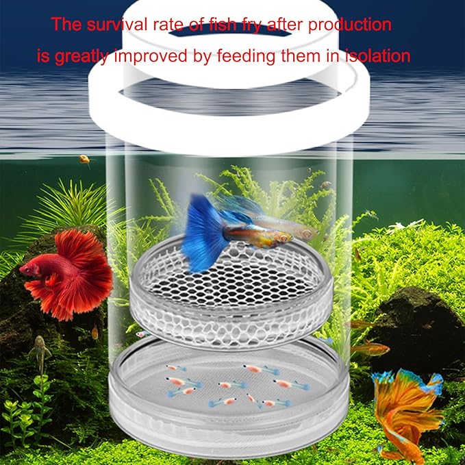 Fish Breeder Box for Raising Fry in Aquariums with Suction Cup Mounting/Floating Breeding Box 3Pcs Floating Hatchery Incubator