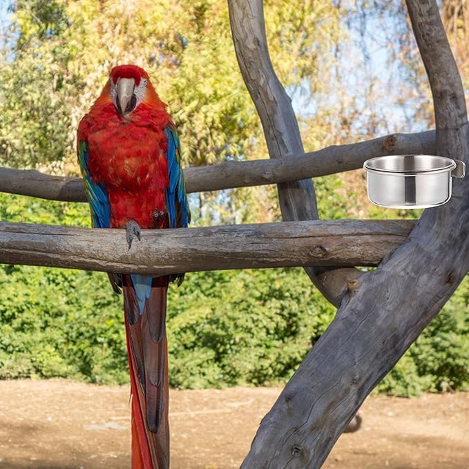 Yardwe Parrot Feed Cup Stainless Steel Bird Feeder 4.92X3.93X3.54In Bird Food Bowl Cage Accessory for Parakeet Cockatiel Conure Budgie
