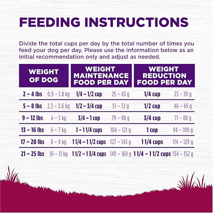 Wellness Complete Health Dry Dog Food, Small Breed, Wholesome Grains, Natural, Healthy Weight Turkey & Brown Rice Recipe, (4-Pound Bag)