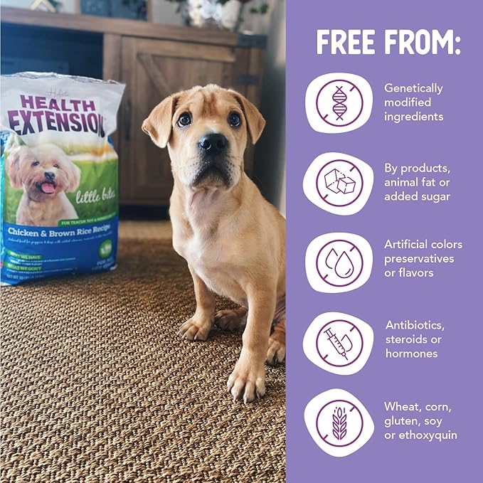 Health Extension Little Bites Dry Dog Food for Toy and Small Breeds, Chicken & Brown Rice Recipe, with Probiotics & Superfoods for Digestion & Coat Health, 1 lb Bag
