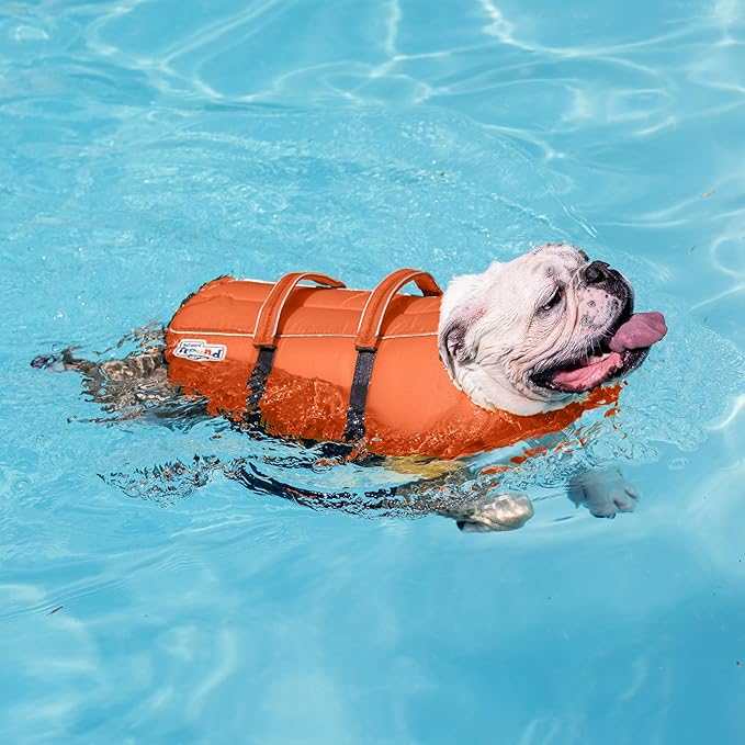 Outward Hound Granby Splash Orange Dog Life Jacket, Small