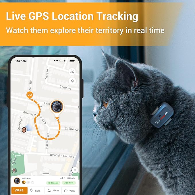Pawfit Lite for Cats 4g GPS Tracker | Ultra-Small (<18g) Design | Real-Time Tracking | Activity Monitoring | Location History | Unlimited Range | Safety Collar Included | Simply White