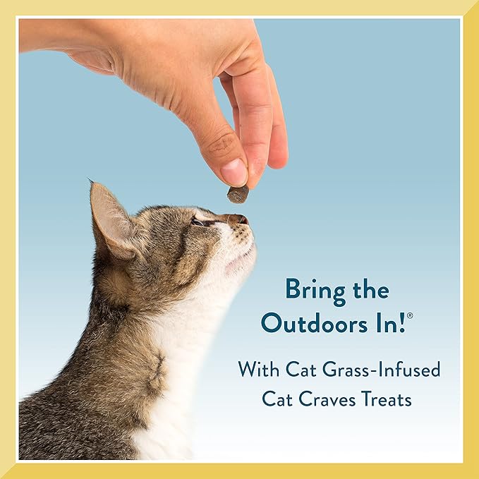 Pet Greens Soft-Chew Indoor Cat Treats Infused with Cat Grass Semi-Moist Roasted Chicken Treats, 3 Ounces Per Pack (3 Pack Roasted Chicken)