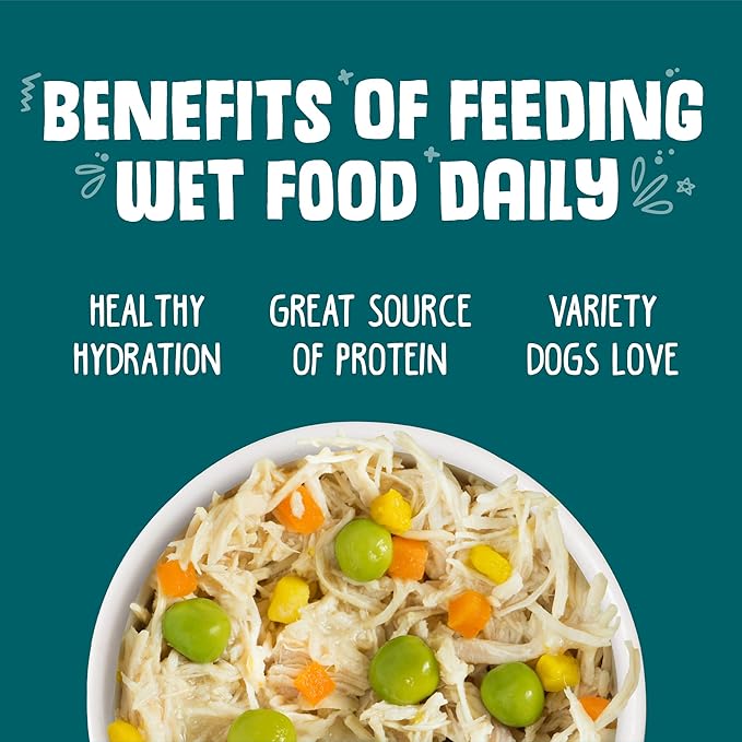 Weruva Classic Dog Food, Funky Chunky Chicken Soup with Chicken Breast & Pumpkin in Gravy, 5.5oz Can (Pack of 24), Blue