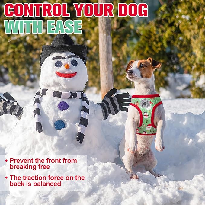 BEAUTYZOO Step in Dog Harness and Leash Set,Reflective Dog Harness No Pull No Choke Puppy Harness for Small Medium Large Dogs Cats,Soft Padded Mesh Vest Harnesses for Girl and Boy Pets,Christmas S