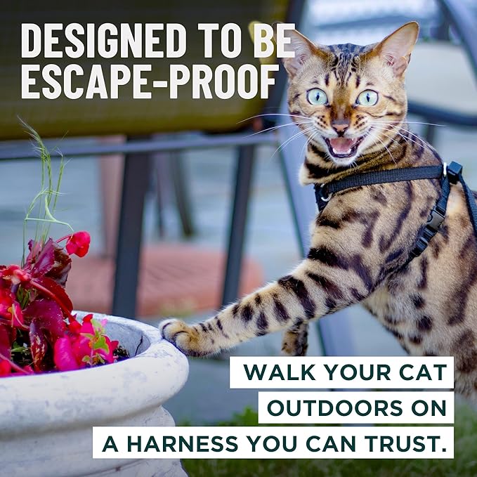 Houdini™ Escape Proof Cat Harness and Leash Set by OutdoorBengal – Red, Medium Cat Harness for Walking