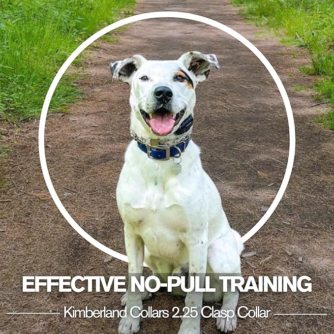 Clasp 2.25mm Stainless Dog Training Collar for Large Breeds | 16” Prong Collar for Dogs 26lbs & Up | No-Pull Collar | Dog/Puppy Training & Behavior Aid