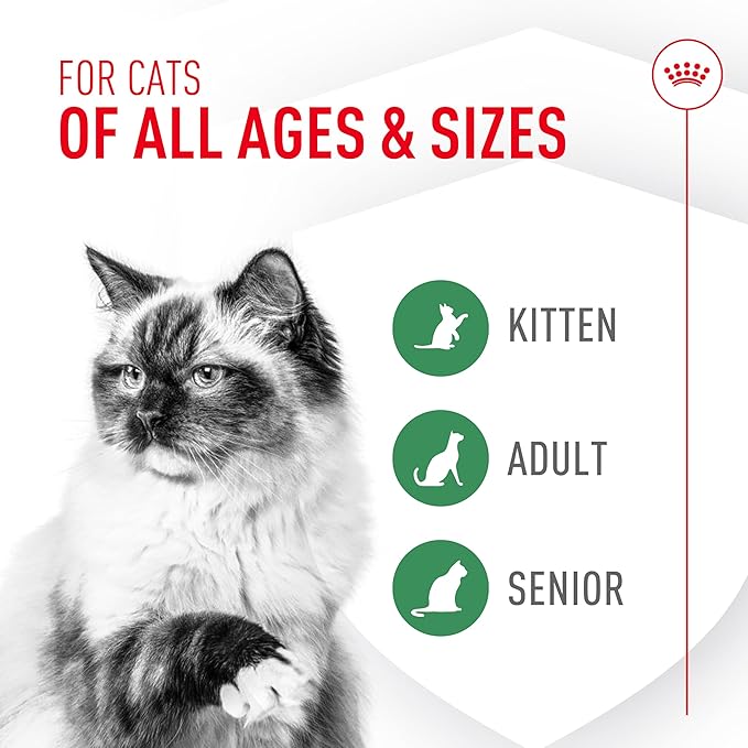 Royal Canin Probiotics for Cats Digestive and Immune Health Powder Supplement for Cats of All Ages, 7 Count