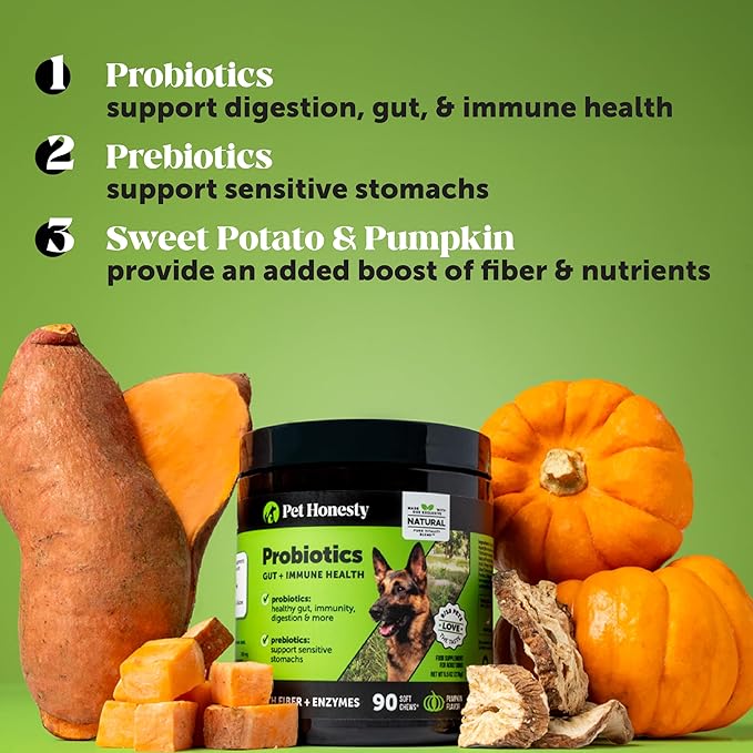 Pet Honesty Probiotics for Dogs - Digestive Enzymes Promotes Gut Health, Dog Probiotics for Bowel Support, Fiber for Regularity, Prebiotics for Immune Health & Gut Flora (Pumpkin, 180 ct)
